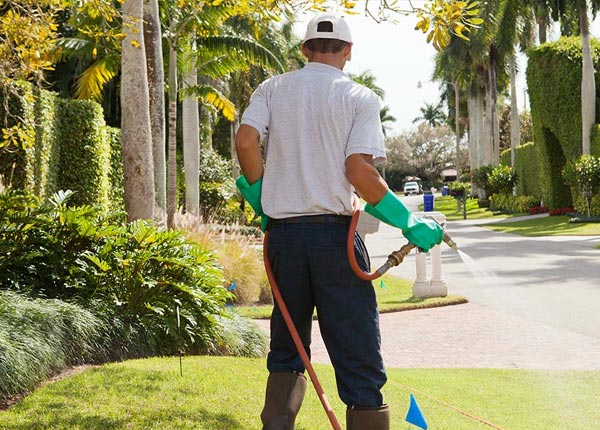 About Haskell TX Pest Control